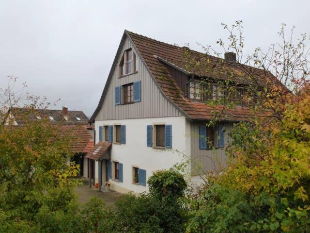 Ferienwohnung Holl-Horn Gaienhofen  Dış mekan fotoğraf